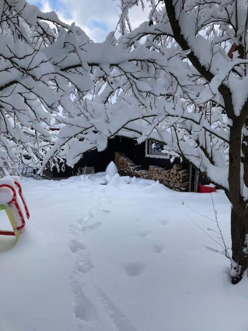 Utulna Chaloupka Na Valassku Valašská Bystřice Exteriör bild